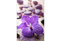 Samolepky na dvere 6840